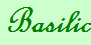  Basilic 